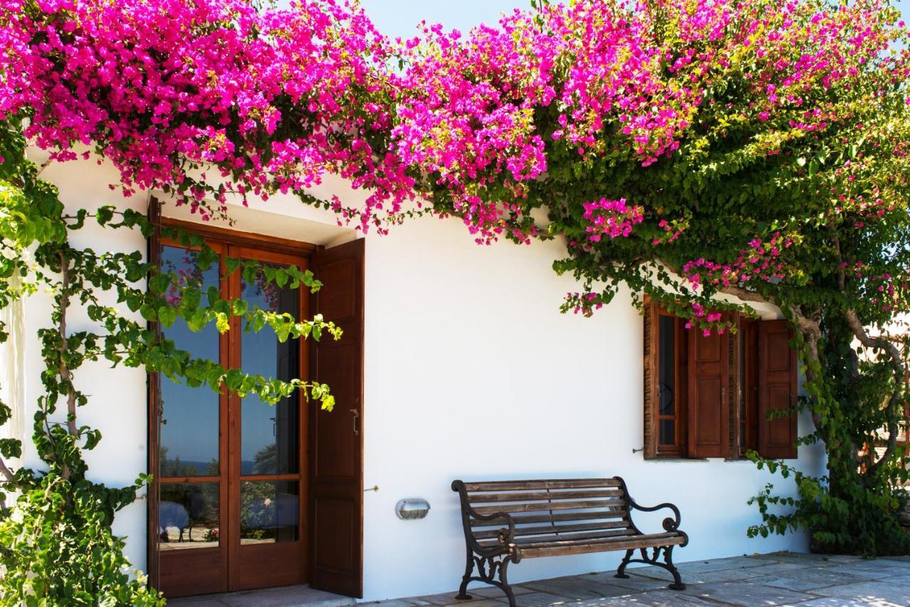 Villa Celestina, Great For Privacy And Seclusion Chrisopigi  외부 사진